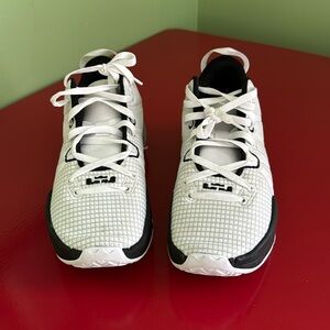 Men’s Nike Lebron Witness Basketball Shoes